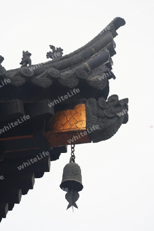 Dachgeister auf einem Dach in der Naehe der Wildganspagode, Xian China