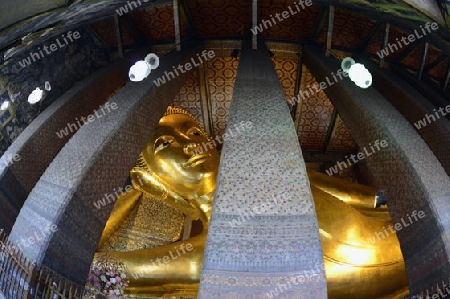 Der Grosse liegende Buddha im Wat Pho Tempel in der Stadt Bangkok in Thailand in Suedostasien.