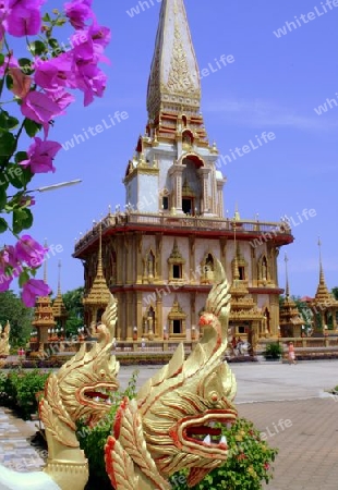 wat chalong