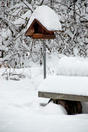 Vogelhaus im Schnee