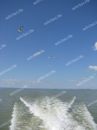 Abschied, Blick von einem Boot nach hinten