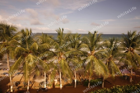 Suedamerika, Karibik, Venezuela, Isla Margarita, Ostkueste, Cuacuco, Playa Cuacuco, Strand, Beach, Meer, Palmen, Landschaft,  