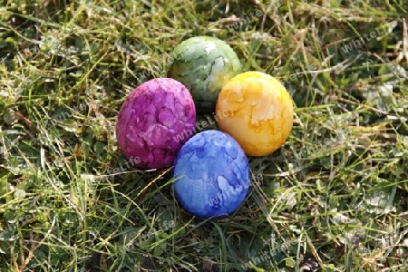 group of easter eggs on the grass