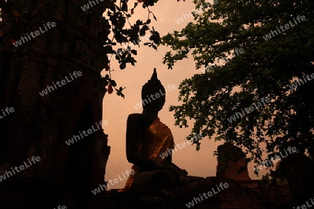 Der Wat Phra Mahathat Tempel in der Tempelstadt Ayutthaya noerdlich von Bangkok in Thailand. 