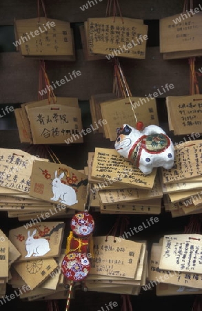 in the Asakusa Senso Ji Temple of Tokyo in Japan in Asia,



