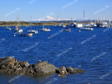 Boats at Oak Bay Marina in Winter