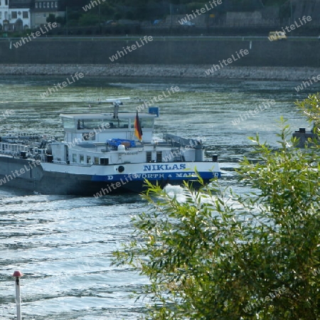 Niklas am Rhein bei Kestert