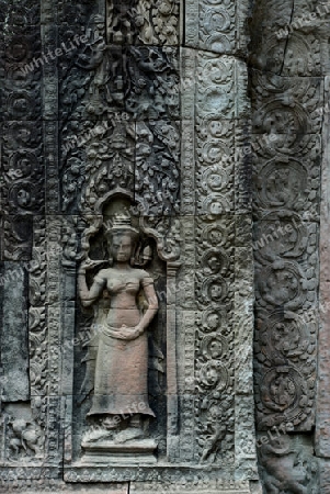 The Temple of  Preah Khan in the Temple City of Angkor near the City of Siem Riep in the west of Cambodia.