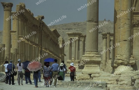 Die Ruinen von Palmyra in der Wueste Faydat in Syrien im Mittleren Osten in Arabien.