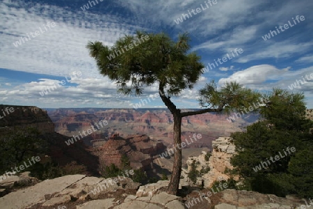 Grand Canyon II