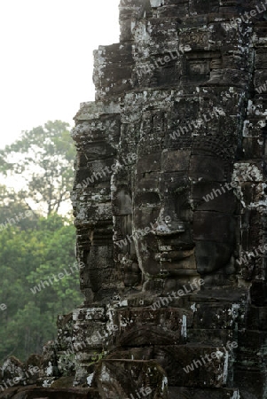 Stone Faces the Tempel Ruin of Angkor Thom in the Temple City of Angkor near the City of Siem Riep in the west of Cambodia.