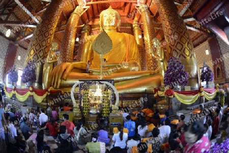 A allday ceremony in the Wat Phanan Choeng Temple in City of Ayutthaya in the north of Bangkok in Thailand, Southeastasia.