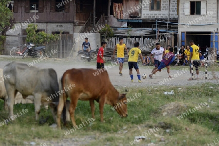 soccer player in soccer field in the town of Nyaungshwe at the Inle Lake in the Shan State in the east of Myanmar in Southeastasia.