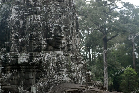 Stone Faces the Tempel Ruin of Angkor Thom in the Temple City of Angkor near the City of Siem Riep in the west of Cambodia.