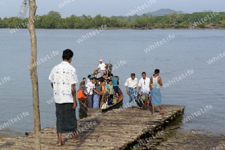 the landscape in a village near the city of Myeik in the south in Myanmar in Southeastasia.