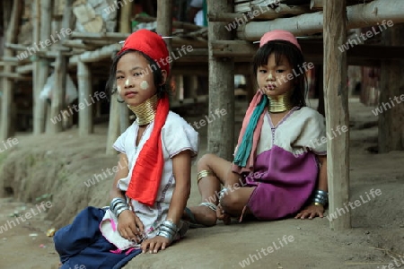 Eine Traditionell gekleidete Langhals Frau eines Paudang Stammes aus Burma lebt in einem Dorf noerdlich von Chiang Mai in Nord Thailand