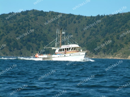 Fishing Boat