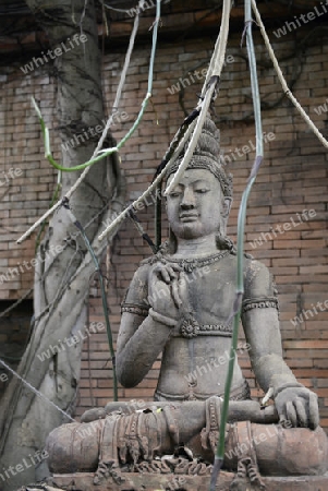 Traditionelle Figuren stehen im Garten von Ban Phor Linag Meuns Terracota Art zum Verkauf bereit dies im Terracota Garden in Chiang Mai im norden von Thailand in Suedostasien.