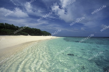 
Der Traumstrand mit Palmen und weissem Sand an der Insel Velavaru im Southmale Atoll auf den Inseln der Malediven im Indischen Ozean.   