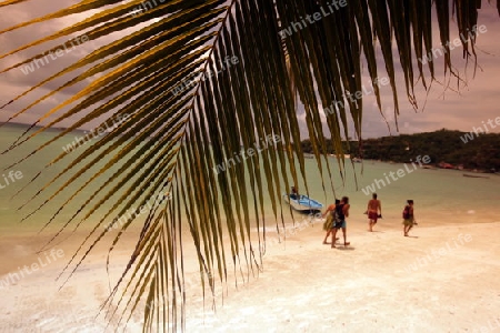 Der Strand an der Mae Haad Bay Beach auf der Insel Ko Tao im Golf von Thailand im Suedwesten von Thailand in Suedostasien. 