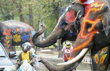 Das Songkran Fest oder Wasserfest zum Thailaendischen Neujahr ist im vollem Gange in Ayutthaya noerdlich von Bangkok in Thailand in Suedostasien.  