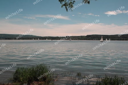 Schweiz von Radolfzell aus ?ber den Bodensee 