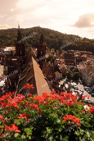 the old town of Freiburg im Breisgau in the Blackforest in the south of Germany in Europe.