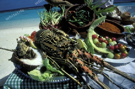 
Sea Food und andere feine Gerichte im Resort und Insel Vakarufalhi im Ari Atoll auf den Inseln der Malediven im Indischen Ozean.  