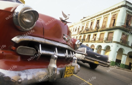 old cars in the old townl of the city of Havana on Cuba in the caribbean sea.