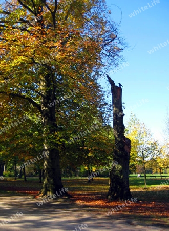 Englischer Garten M?nchen