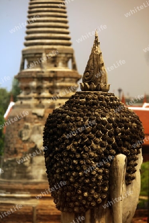 Der Wat Yai Chai Tempel in der Tempelstadt Ayutthaya noerdlich von Bangkok in Thailand.  