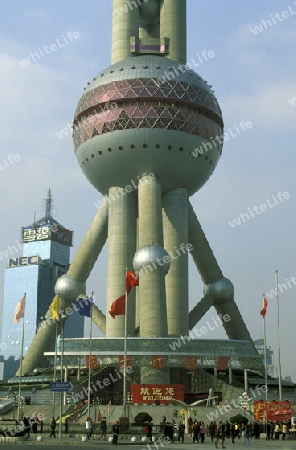 the skyline of Pudong in the City of Shanghai in china in east asia. 