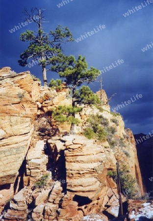 Winter Storm over Zion National Park