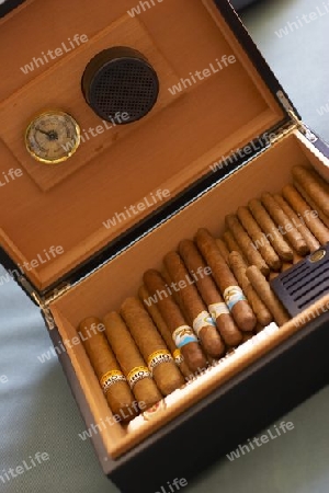 Humidor mit Zigarren