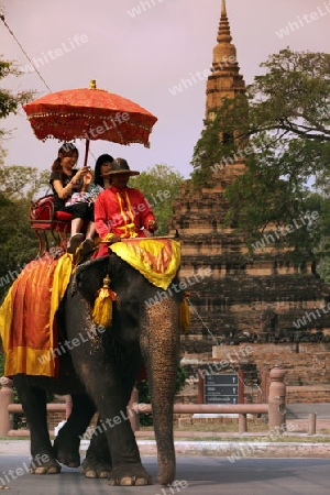 Ein Elephanten Taxi vor einem der vielen Tempel in der Tempelstadt Ayutthaya noerdlich von Bangkok in Thailand.