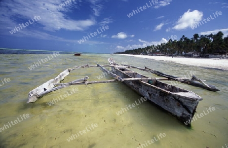 Der Traumstrand  von Michamvi am Chwaka Bay an der Ost-Kueste auf der Insel Zanzibar welche zu Tansania gehoert.         