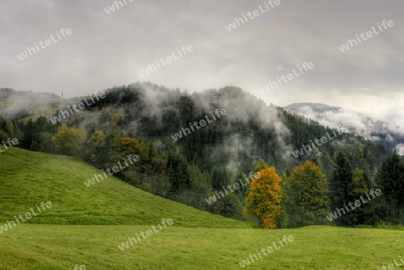 Herbst in den Bergen