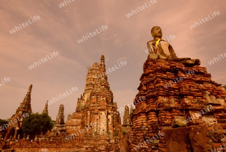 The Wat Chai Wattanaram Temple in City of Ayutthaya in the north of Bangkok in Thailand, Southeastasia.