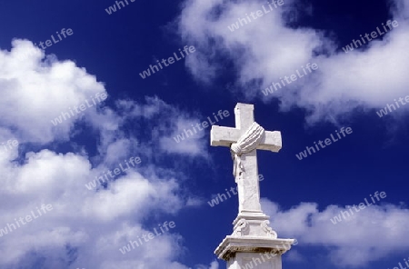 the Cemetery of Necropolis Cristobal Colon in the city Havana on Cuba in the caribbean sea.