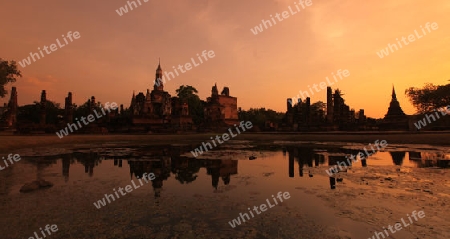 Der Wat Mahathat Tempel in der Tempelanlage von Alt-Sukhothai in der Provinz Sukhothai im Norden von Thailand in Suedostasien.