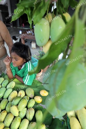 Mangos auf dem Markt des Khao Sam Roi Yot Nationalpark am Golf von Thailand im Suedwesten von Thailand in Suedostasien. 