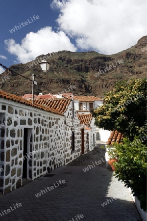 the  mountain Village of  Fataga in the centre of the Canary Island of Spain in the Atlantic ocean.