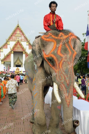 Das Songkran Fest oder Wasserfest zum Thailaendischen Neujahr ist im vollem Gange in Ayutthaya noerdlich von Bangkok in Thailand in Suedostasien.  