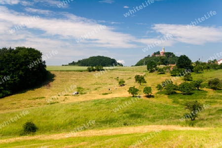 Sommerlandschaft bei Seitenroda mit Leuchtenburg