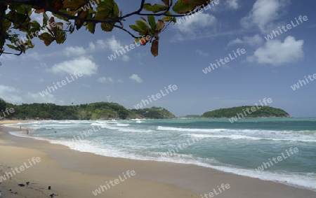 Ein Strand in Hat Kata Yai im sueden der Insel Phuket im sueden von Thailand in Suedostasien.