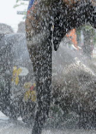 Das Songkran Fest oder Wasserfest zum Thailaendischen Neujahr ist im vollem Gange in Ayutthaya noerdlich von Bangkok in Thailand in Suedostasien.  