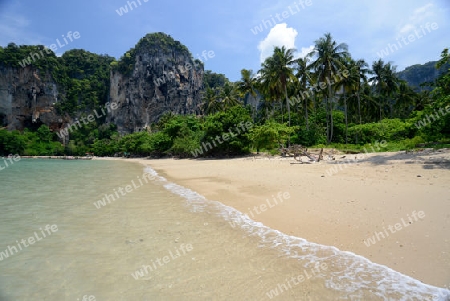 The Hat Tom Sai Beach at Railay near Ao Nang outside of the City of Krabi on the Andaman Sea in the south of Thailand. 