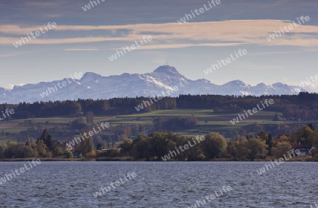 Bodensee Blick auf Alpen