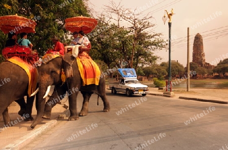 Ein Elephanten Taxi vor einem der vielen Tempel in der Tempelstadt Ayutthaya noerdlich von Bangkok in Thailand.  