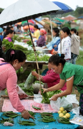 Der Wochenmarkt beim Dorf Chiang Dao noerdlich von Chiang Mai im Norden von Thailand.